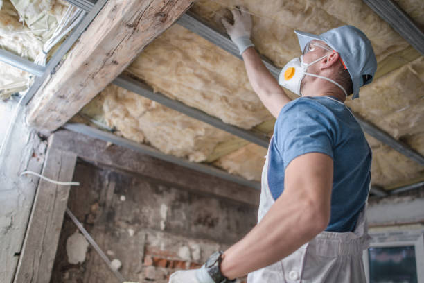 Best Specialty Insulation in South Riding, VA