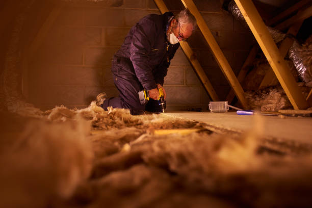 Best Insulation Installation Services in South Riding, VA